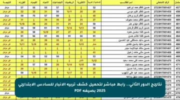 نتائج الدور الثاني.. رابط مباشر لتحميل كشف تربية الأنبار للسادس الابتدائي 2025 بصيغة PDF